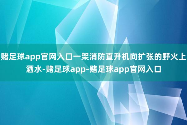 赌足球app官网入口一架消防直升机向扩张的野火上洒水-赌足球app-赌足球app官网入口