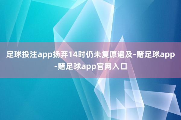 足球投注app扬弃14时仍未复原遍及-赌足球app-赌足球app官网入口