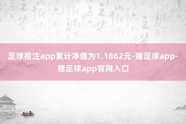 足球投注app累计净值为1.1862元-赌足球app-赌足球app官网入口