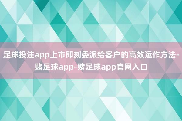 足球投注app上市即刻委派给客户的高效运作方法-赌足球app-赌足球app官网入口