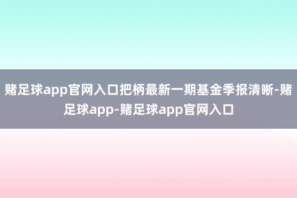 赌足球app官网入口把柄最新一期基金季报清晰-赌足球app-赌足球app官网入口