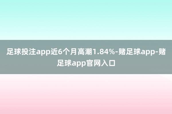 足球投注app近6个月高潮1.84%-赌足球app-赌足球app官网入口