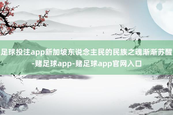 足球投注app新加坡东说念主民的民族之魂渐渐苏醒-赌足球app-赌足球app官网入口