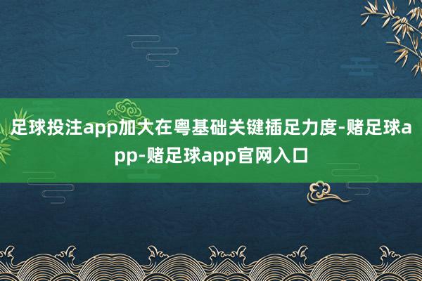 足球投注app加大在粤基础关键插足力度-赌足球app-赌足球app官网入口