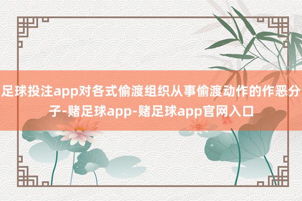 足球投注app对各式偷渡组织从事偷渡动作的作恶分子-赌足球app-赌足球app官网入口