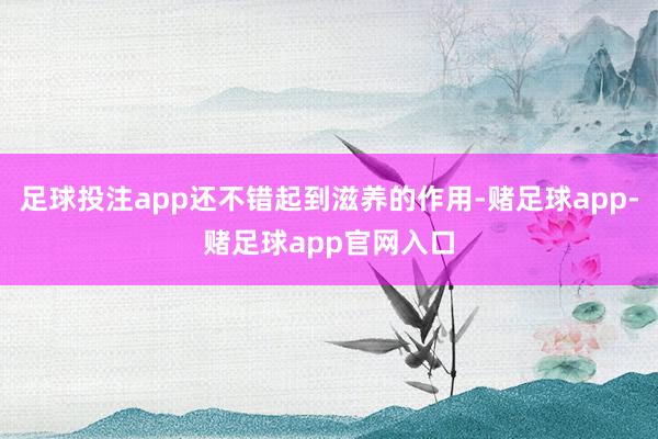 足球投注app还不错起到滋养的作用-赌足球app-赌足球app官网入口