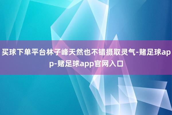 买球下单平台林子峰天然也不错摄取灵气-赌足球app-赌足球app官网入口