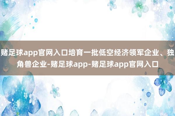 赌足球app官网入口培育一批低空经济领军企业、独角兽企业-赌足球app-赌足球app官网入口