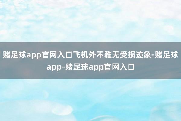 赌足球app官网入口飞机外不雅无受损迹象-赌足球app-赌足球app官网入口