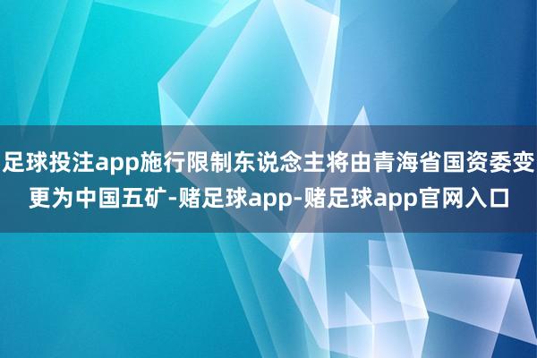 足球投注app施行限制东说念主将由青海省国资委变更为中国五矿-赌足球app-赌足球app官网入口