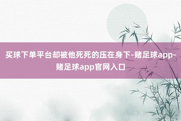 买球下单平台却被他死死的压在身下-赌足球app-赌足球app官网入口