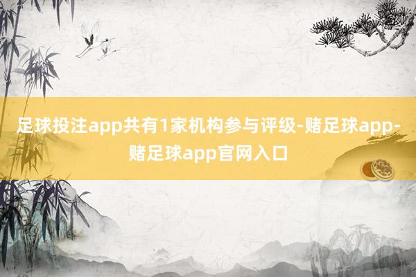 足球投注app共有1家机构参与评级-赌足球app-赌足球app官网入口