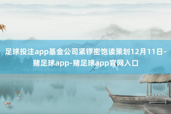 足球投注app基金公司紧锣密饱读策划12月11日-赌足球app-赌足球app官网入口