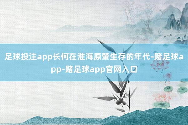 足球投注app长何在淮海原肇生存的年代-赌足球app-赌足球app官网入口