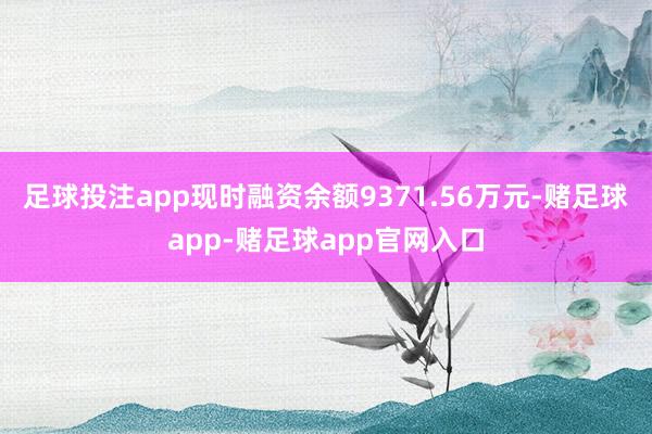 足球投注app现时融资余额9371.56万元-赌足球app-赌足球app官网入口