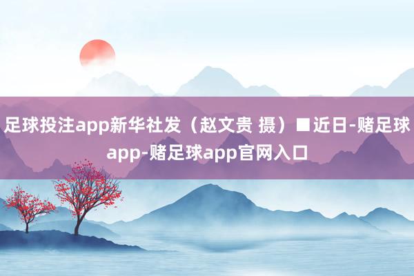 足球投注app新华社发（赵文贵 摄）■近日-赌足球app-赌足球app官网入口