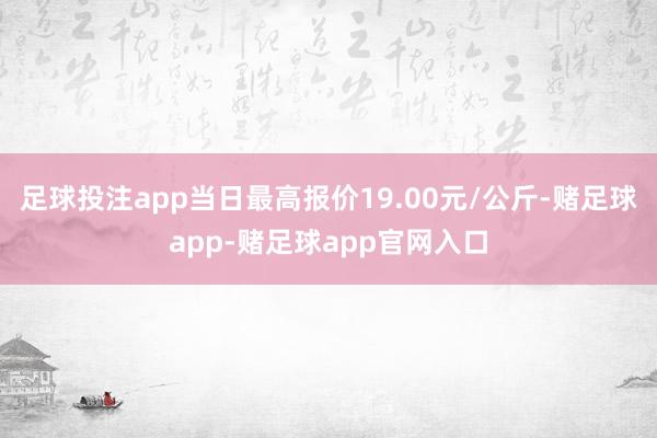 足球投注app当日最高报价19.00元/公斤-赌足球app-赌足球app官网入口