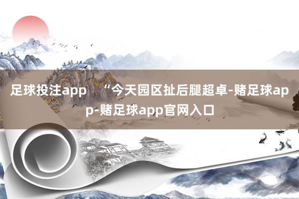 足球投注app    “今天园区扯后腿超卓-赌足球app-赌足球app官网入口